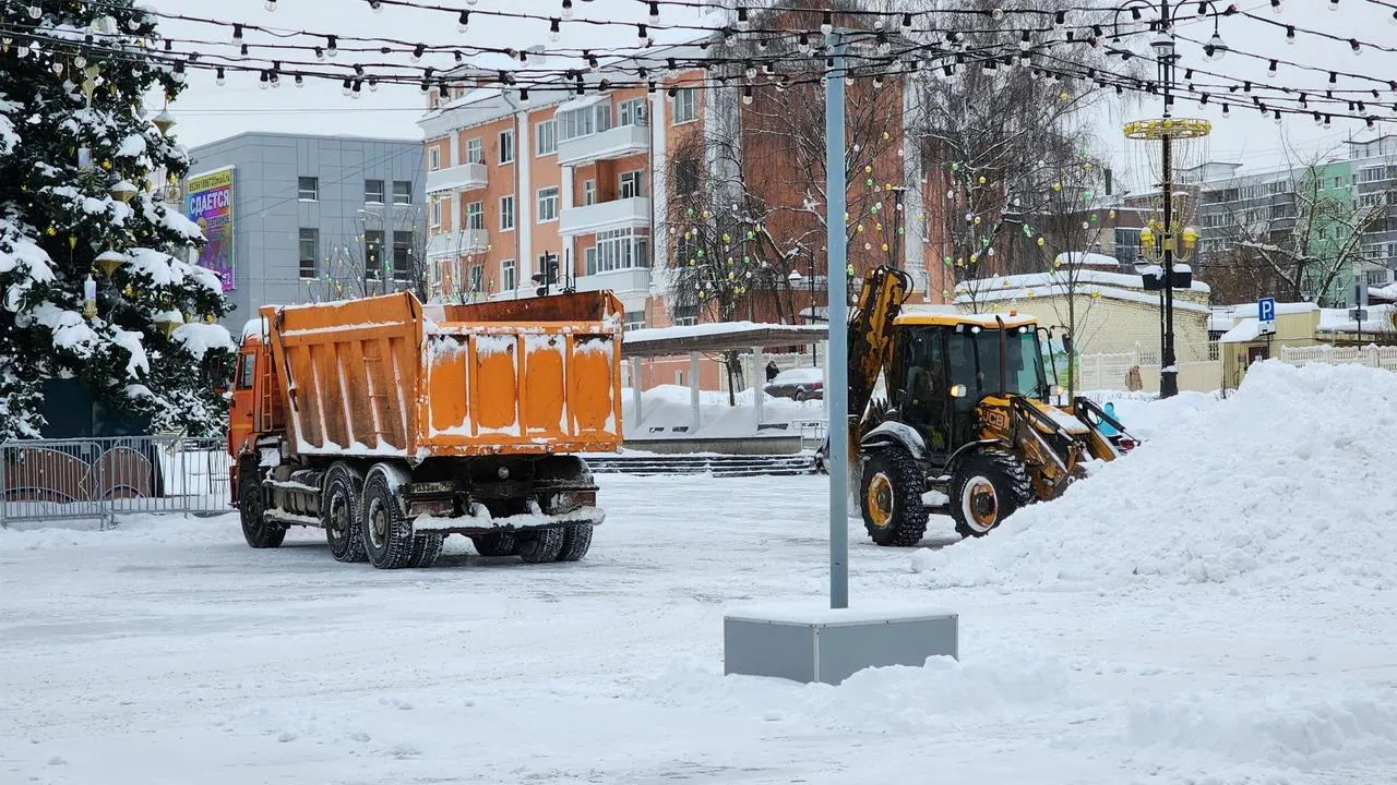 МедиаБанк Подмосковья/Ольга Аввакумова