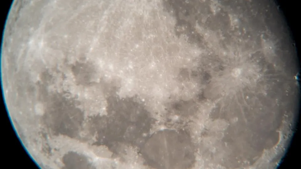 МедиаБанк Подмоковья/Мария Панина