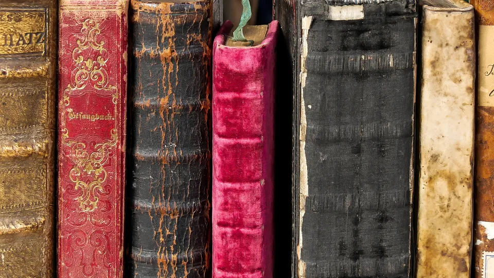 Фото: pxhere.com