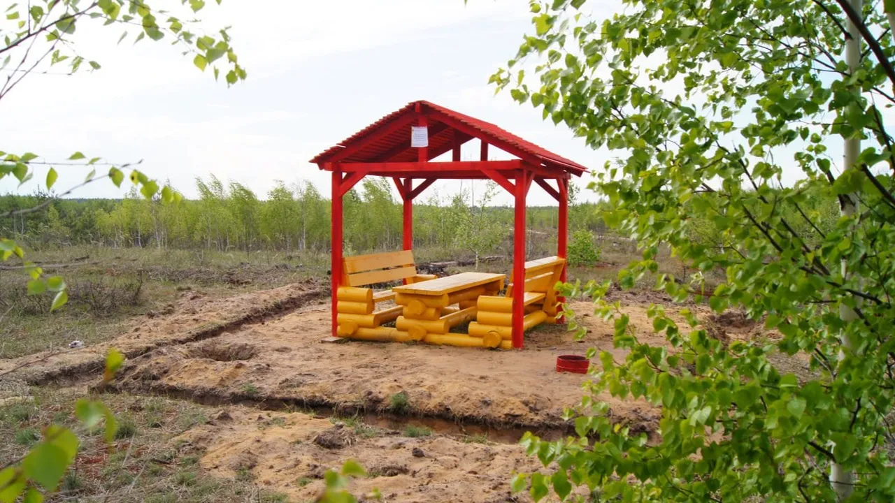 Фото: Комитет лесного хозяйства Московской области