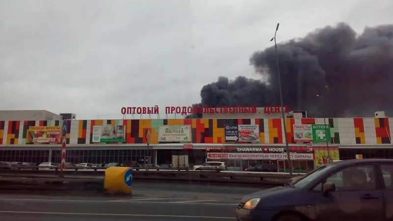 Ольга Чемоданова / Подмосковье сегодня