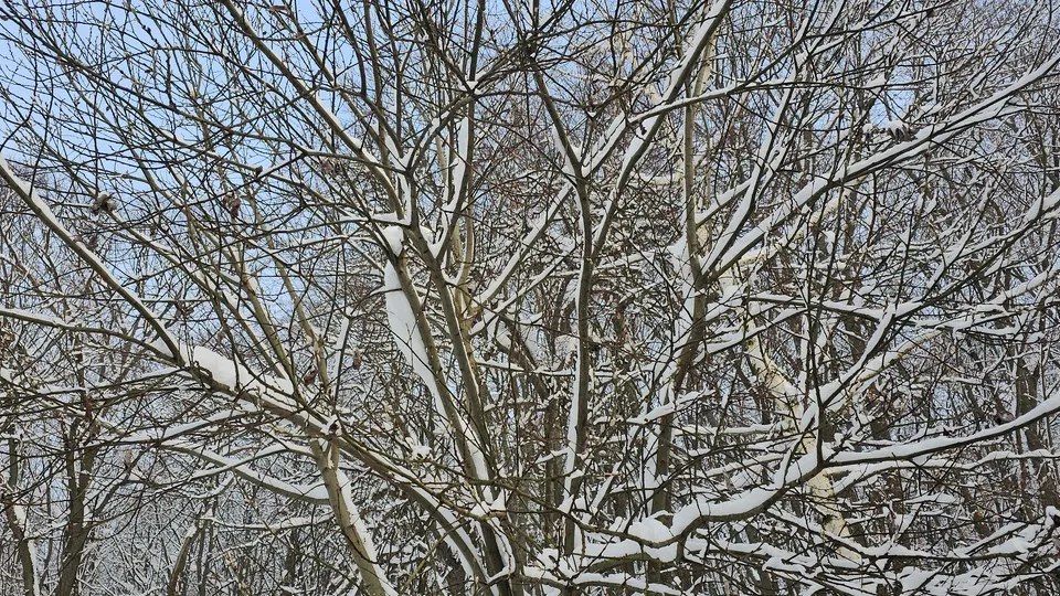 Фото: REGIONS/Александр Дрожжин