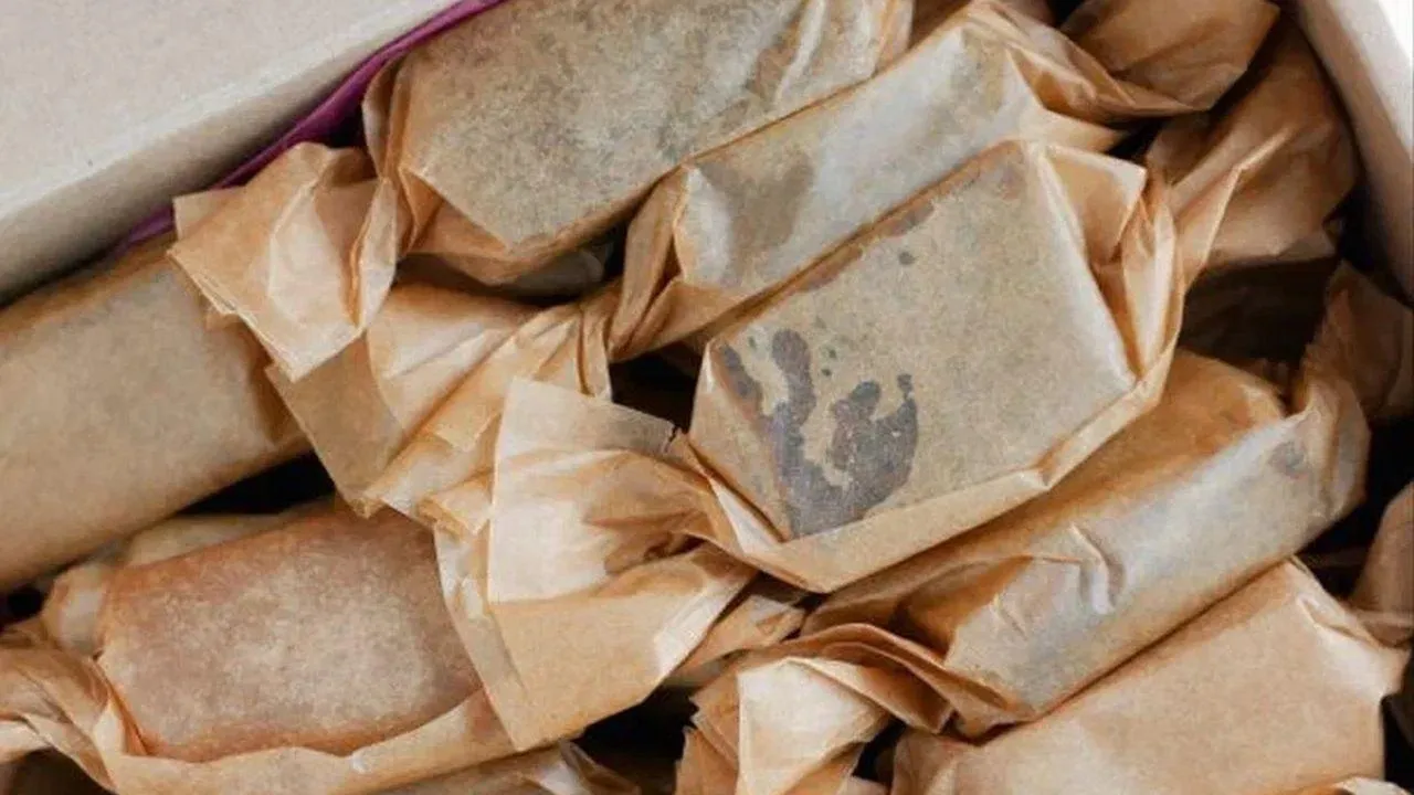 REGIONS/Наталия Надточая