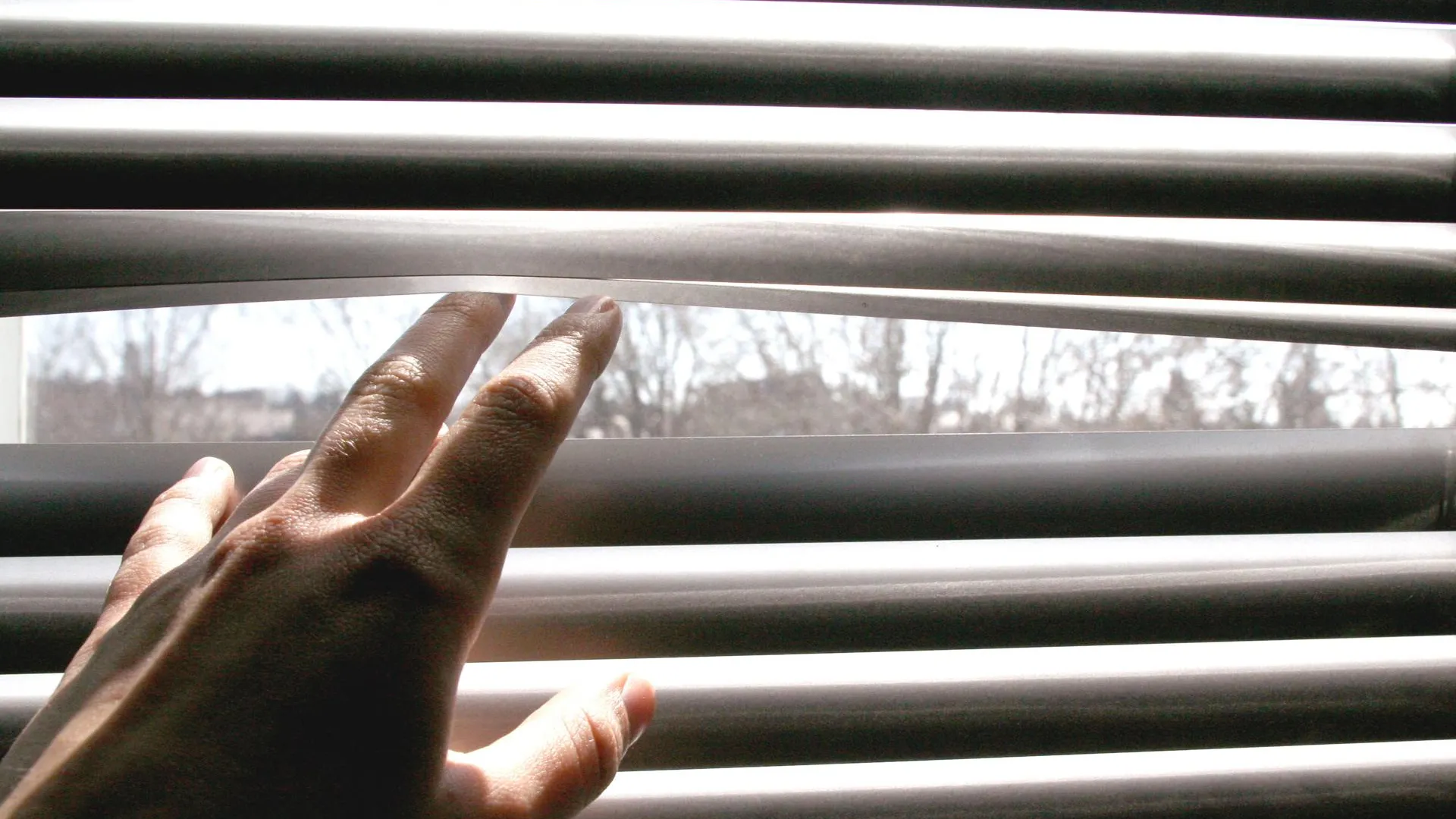 CHROMORANGE / Bilderbox