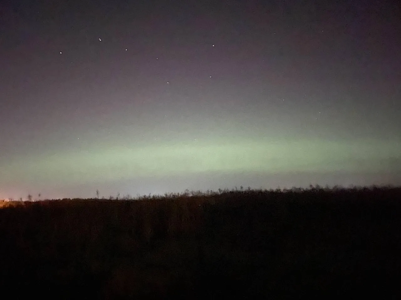 Дарья Леонова