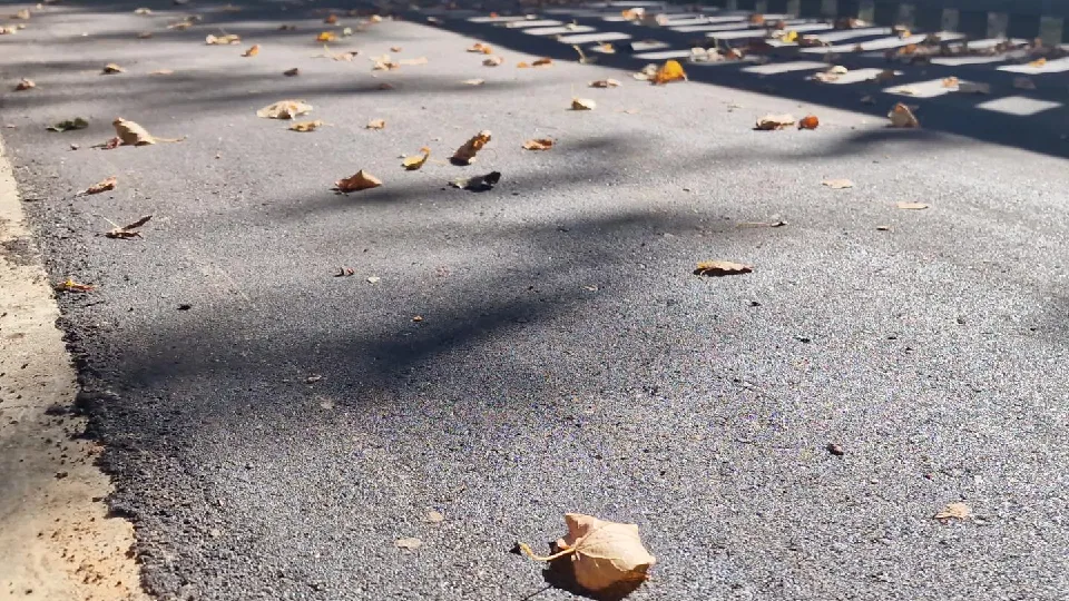 Фото: REGIONS/Анастасия Игнатова