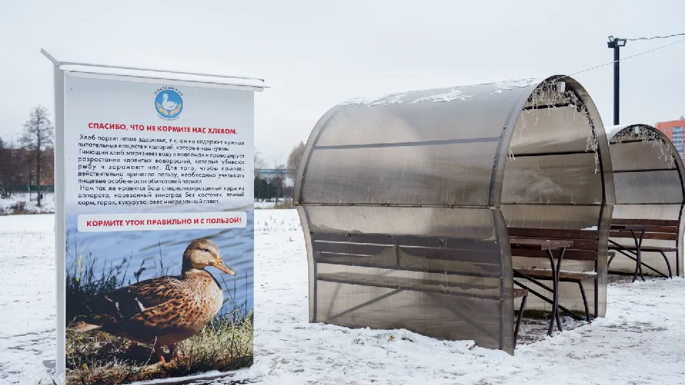 Фото: медиасток.рф