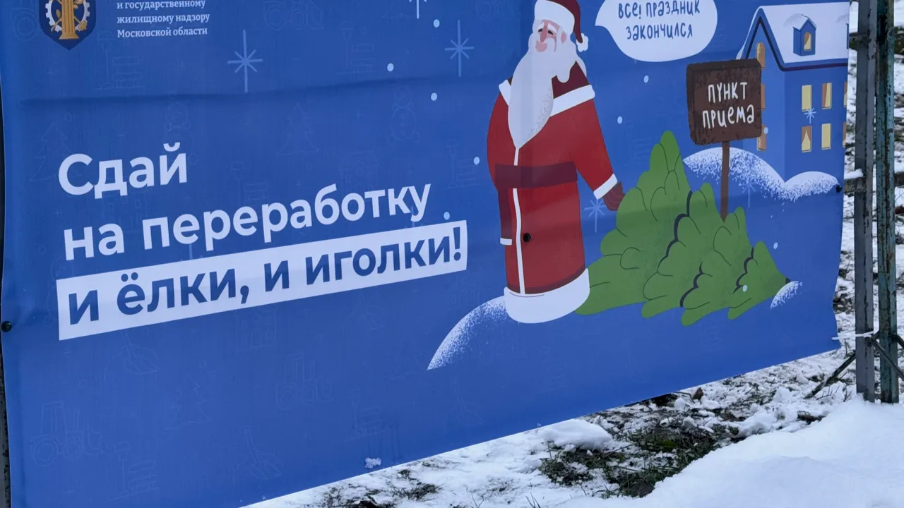 МедиаБанк Подмосковья/Иван Петрушин