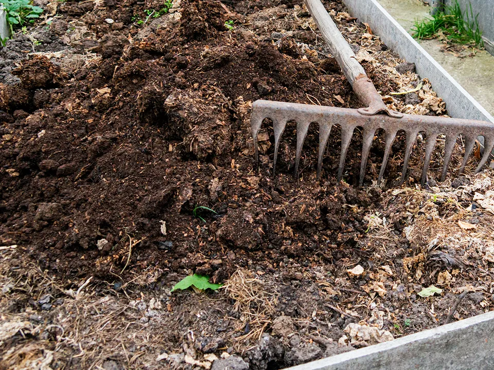 Фото: istockphoto.com/Oxana Medvedeva