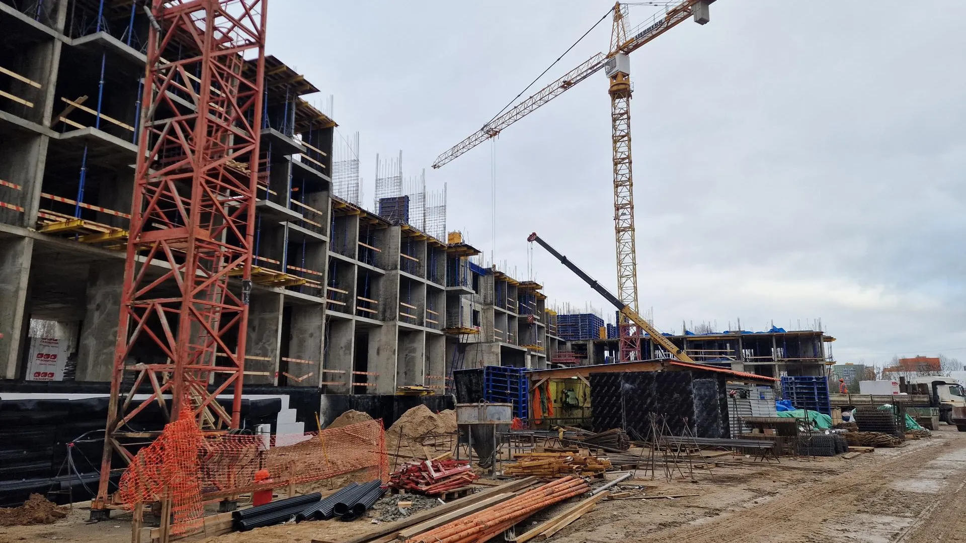 Фото: REGIONS/Анастасия Игнатова