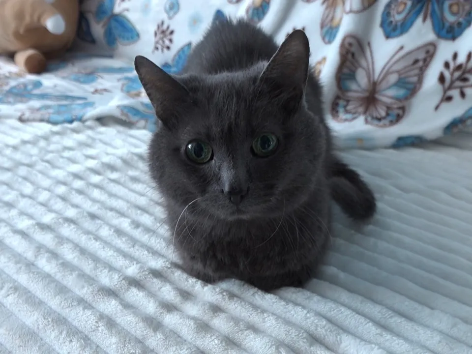 Фото: REGIONS/Наталия Надточая