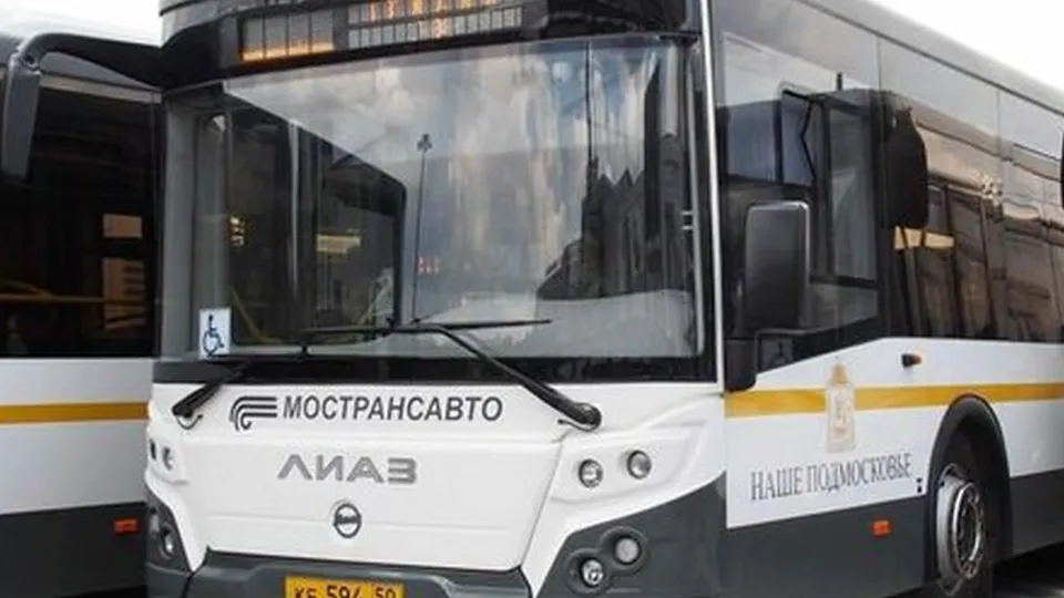 Фото: Хавива Фонина