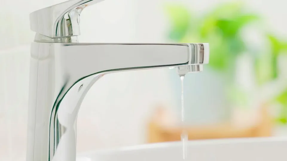 Фото: istockphoto.com/PonyWang