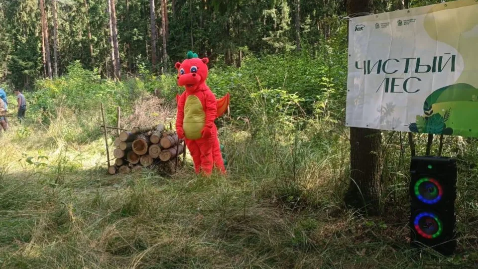 Фото: Комитет лесного хозяйства Московской области