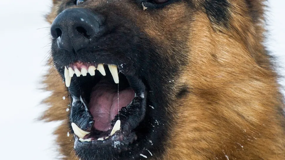 Фото: ТАСС/Кирилл Кухмарь