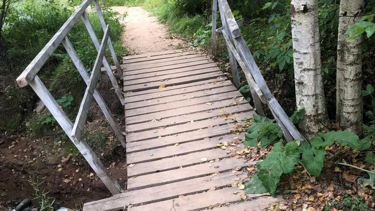 Фото: соцсети