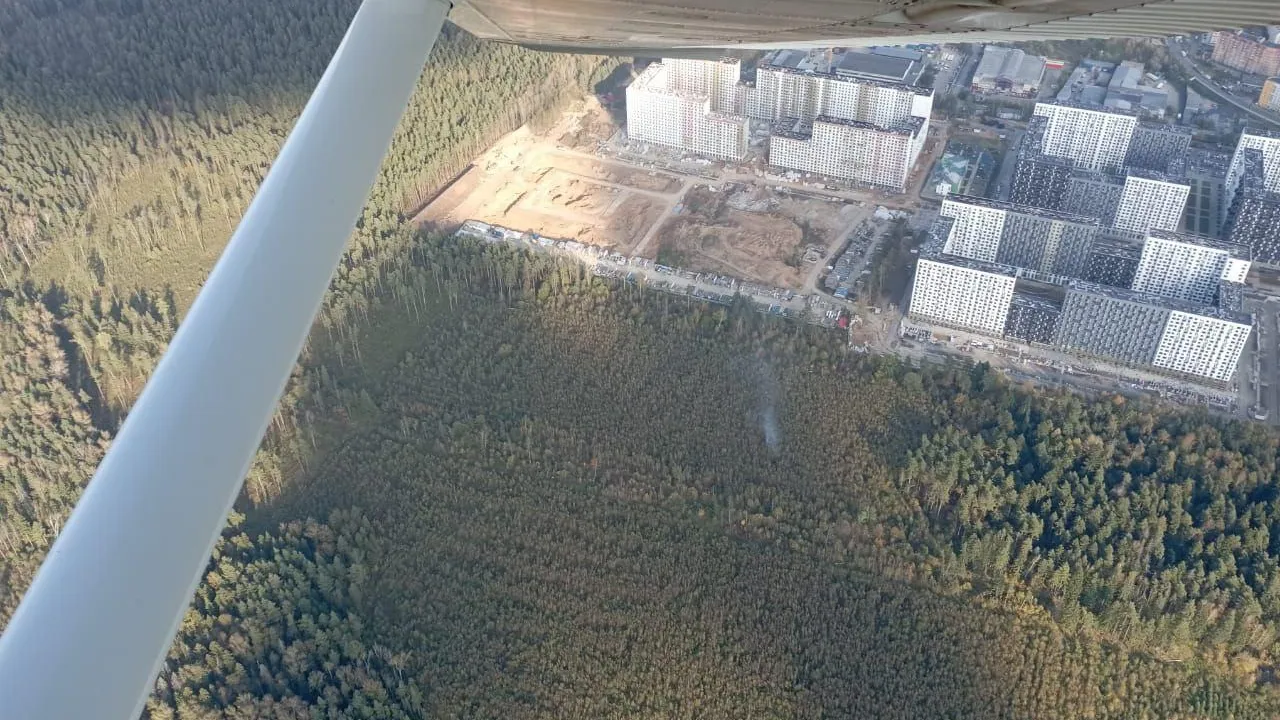 Комитет лесного хозяйства Московской области