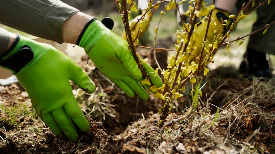 Фото: freepik.com