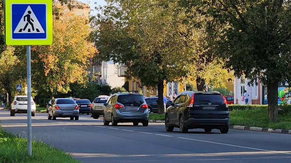 Фото: МедиаБанк Подмосковья/Нина Басистая