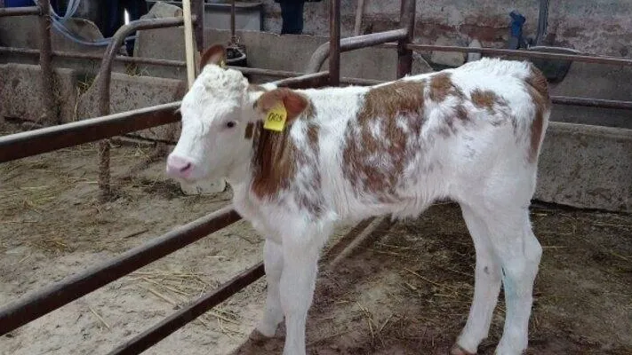 фото: соцсети