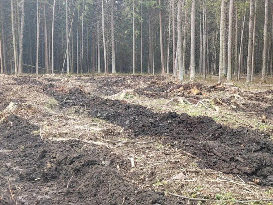 Фото: пресс-служба администрации г.о. Клин