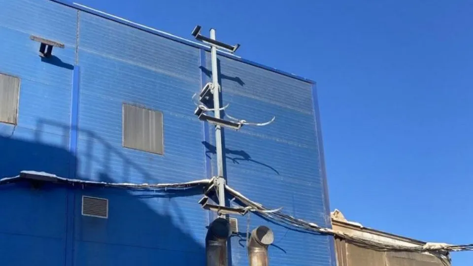 Фото: Министерство экологии и природопользования Московской области