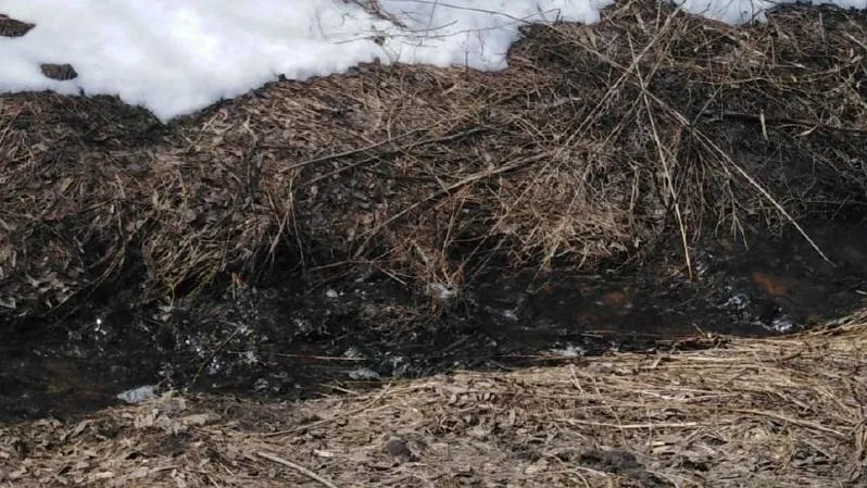 Фото: Министерство экологии и природопользования Московской области