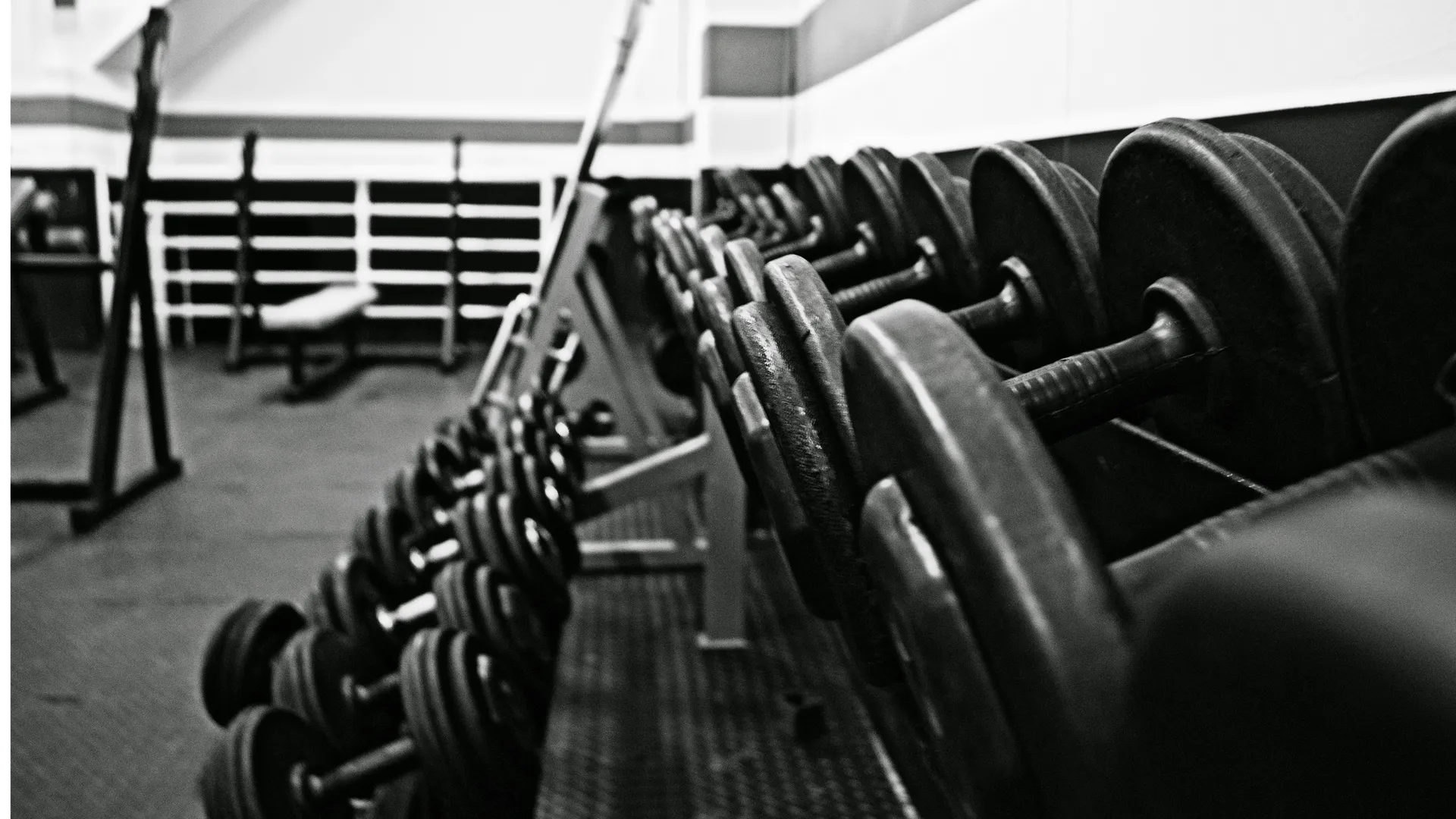 Фото: pxhere.com