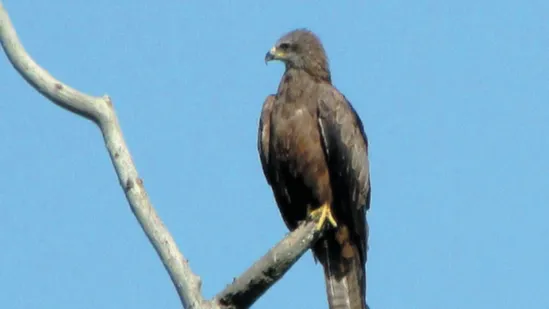 Фото: фонд "Верховье"