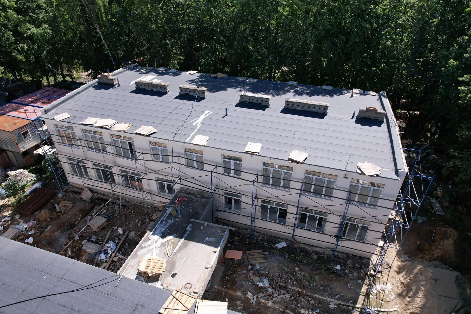 Автор: Ксения Борцова