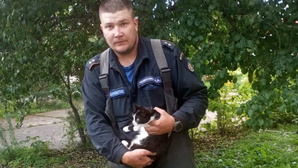 Котенку из подмосковной Каширы спасли одну из девяти жизней