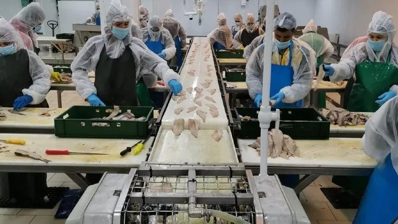 Новый многофункциональный комплекс по переработке сельхозпродукции построят к 2024 году в Воскресенске