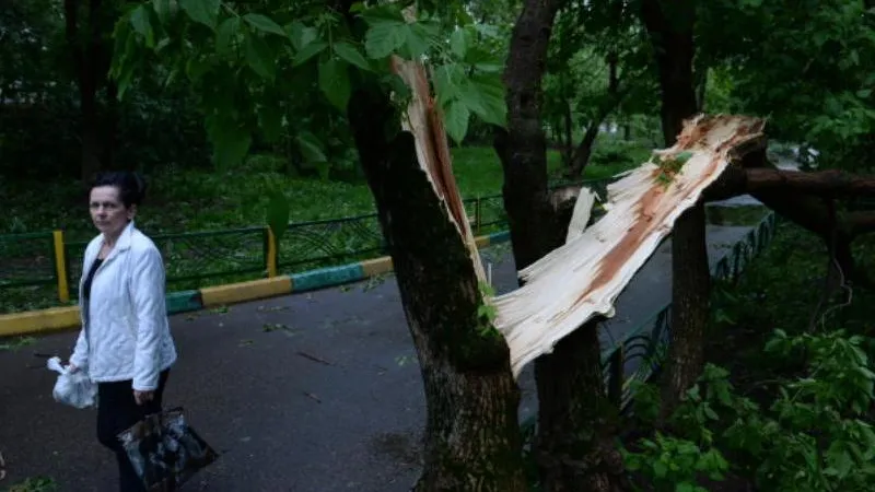 МЧС предупреждает москвичей о сильном ветре с порывами до 17 метров в секунду 