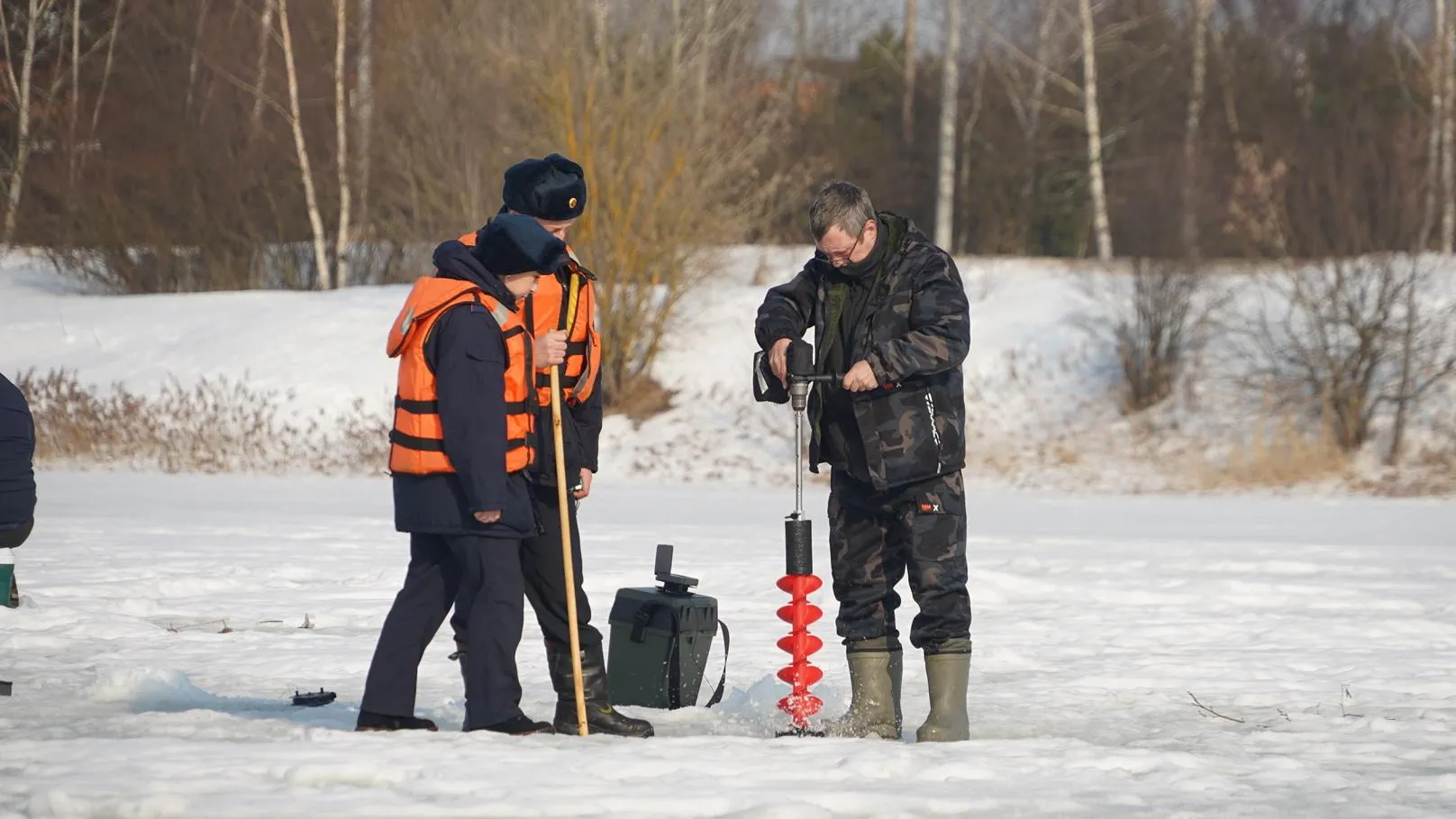 Алёна Притула