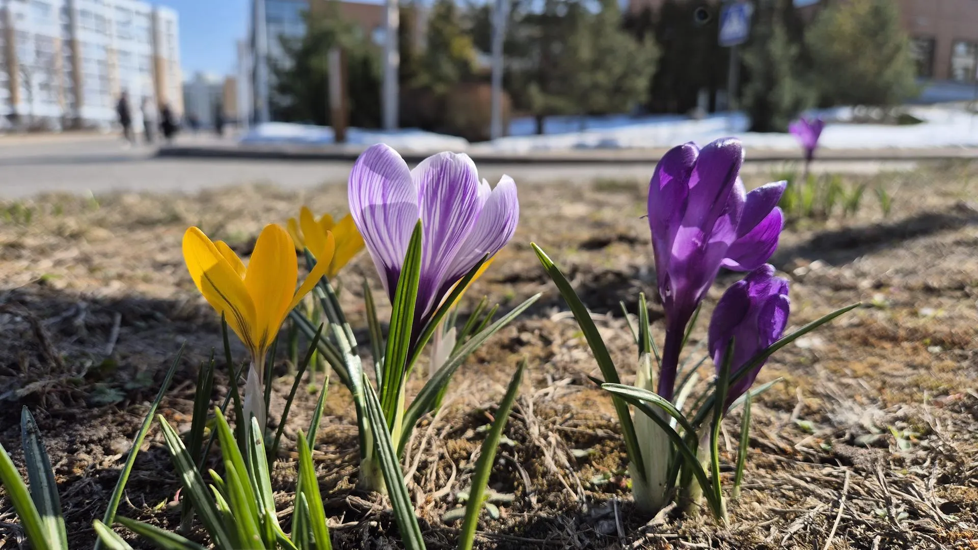 REGIONS/Ольга Панина