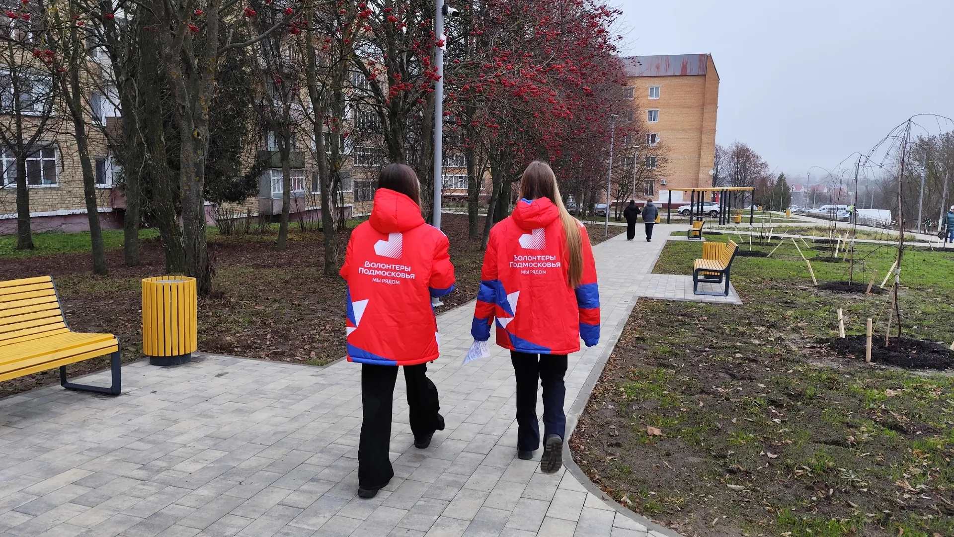 Фото: Волонтеры Подмосковья г.о. Кашира