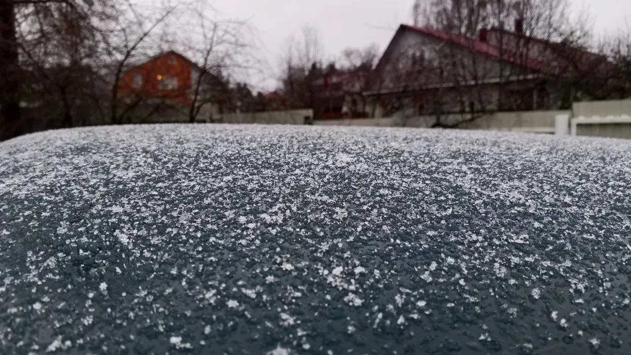 Фото: REGIONS/Василий Тремасов