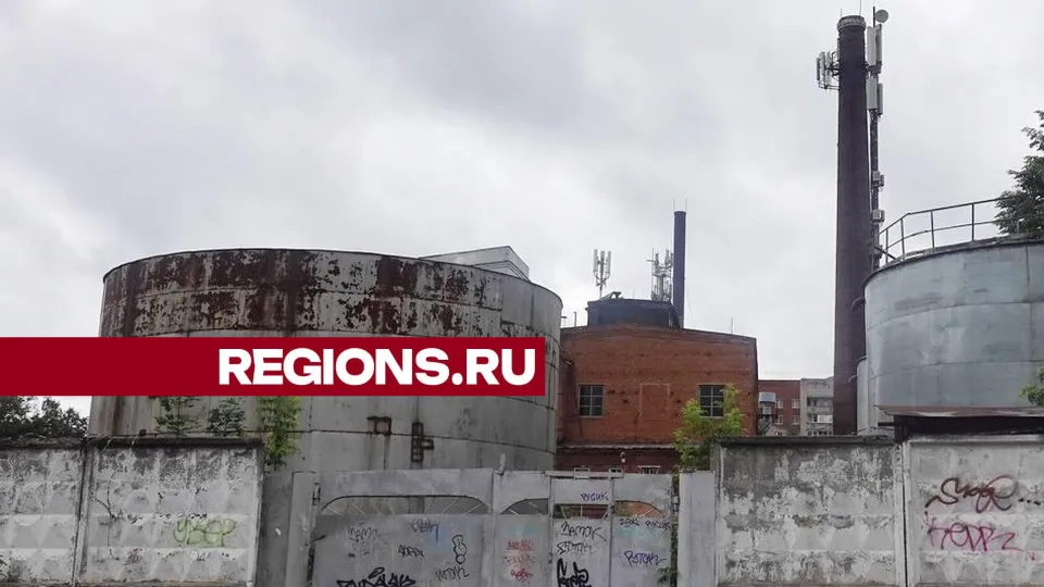 Фото: Дарья Леонова