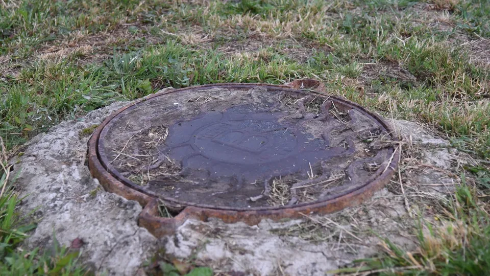 Фото: РИА Новости/Дарья Соколова