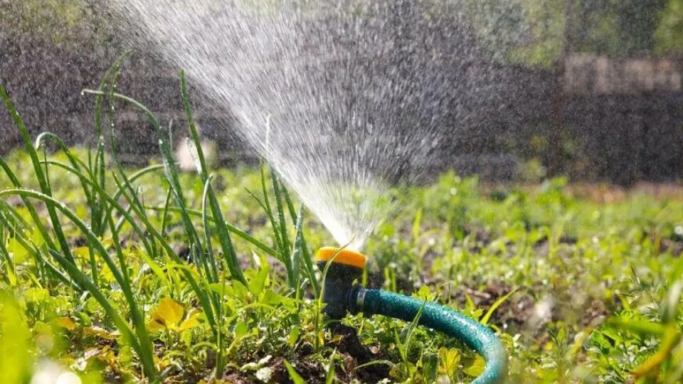 Фото: администрация Пущино