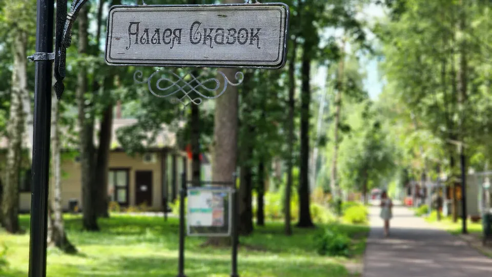 Фото: Ксения Пашуто