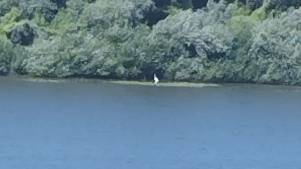 Фото: Дмитрий Елизаветенков