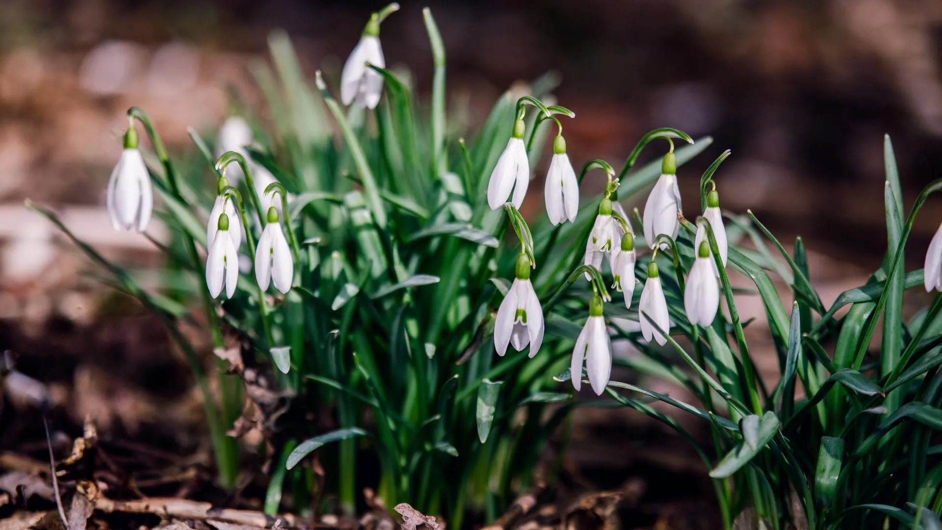 медиасток.рф