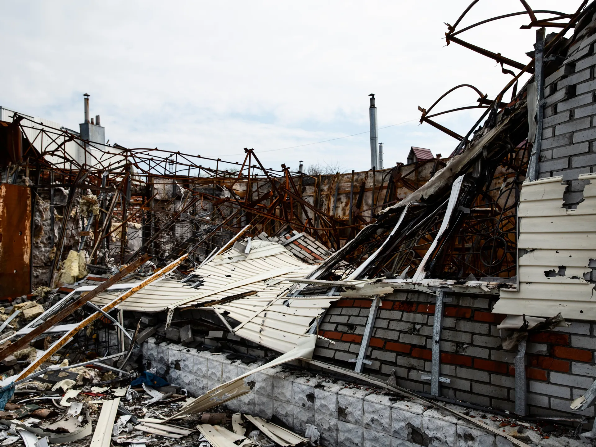 Фото: freepik.com&nbsp;