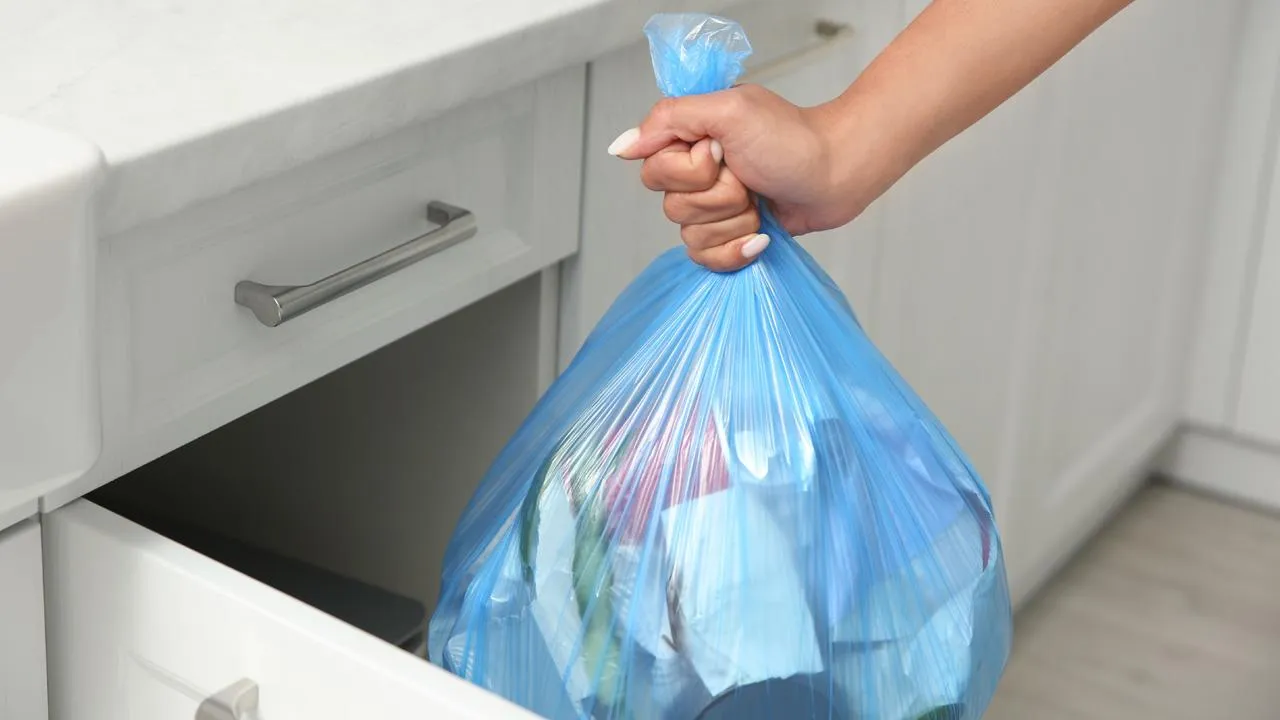 istockphoto.com/Liudmila Chernetska