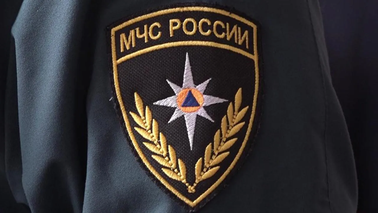 МедиаБанк Подмосковья/Наталия Надточая