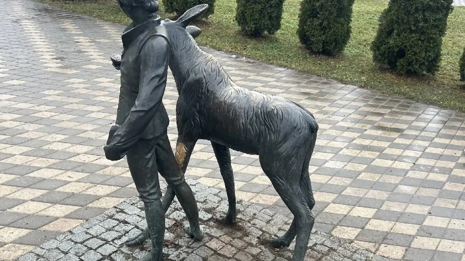 Фото: пресс-служба администрации г.о. Лосино-Петровский