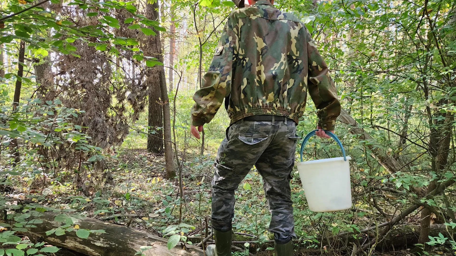 Александр Степушкин