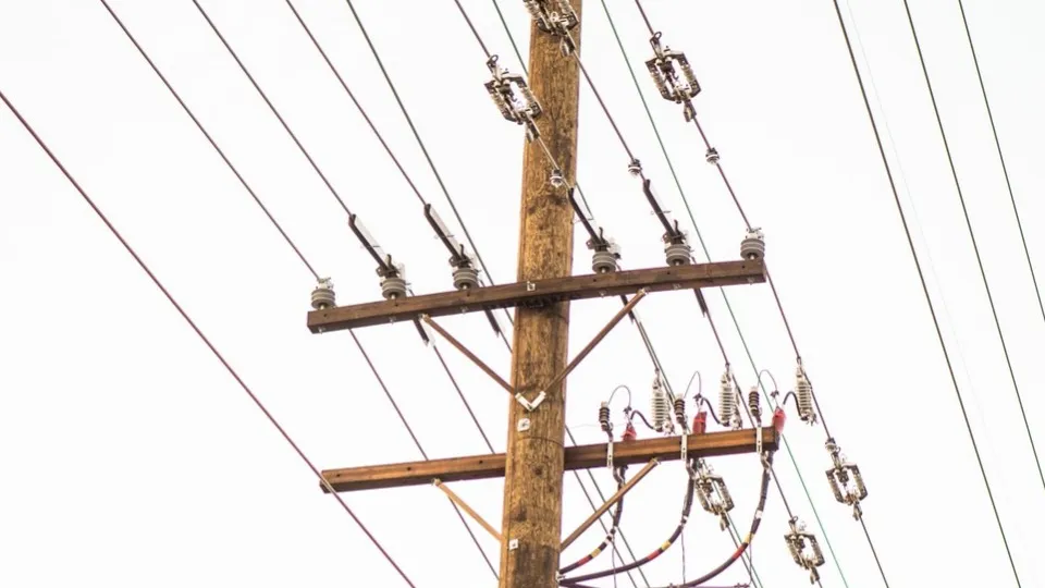 Фото: pxhere.com