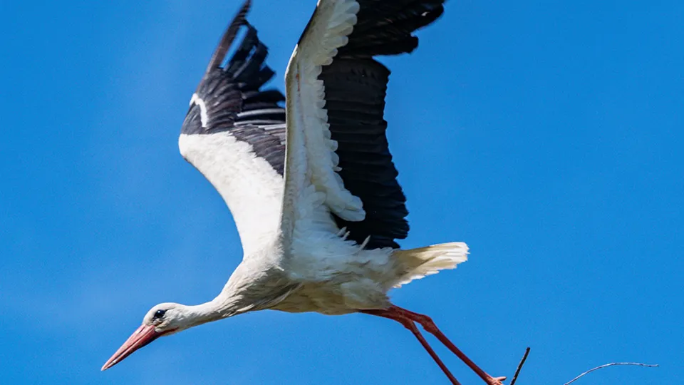 Фото: Антон Селянин